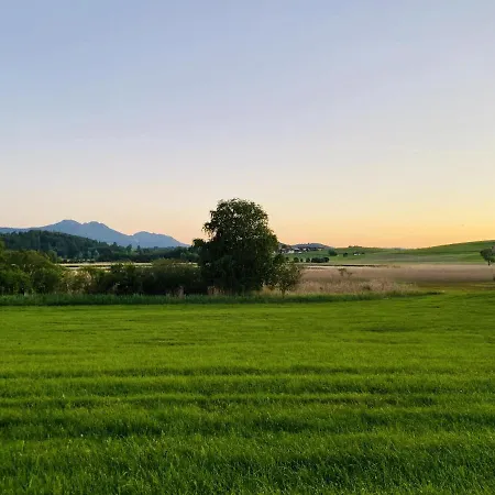 Hirsch Guest house