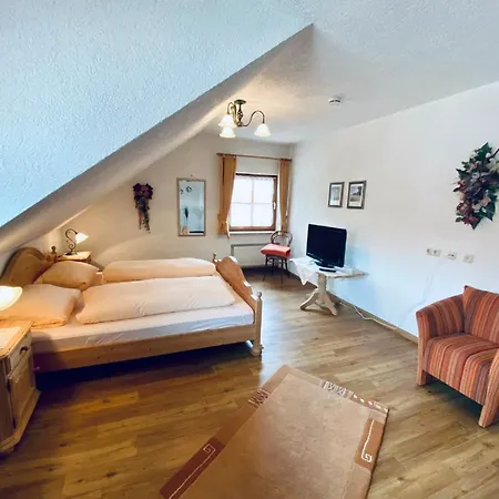 Hirsch Guest house *
